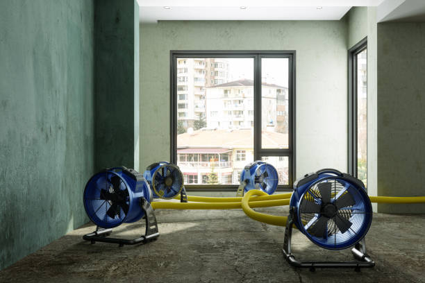 Best Mold removal after water damage  in Sherwood, OR